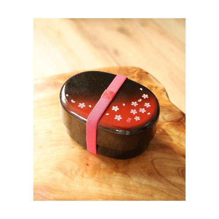 HAKOYA Boîte Bento 2 Étages 570ml Motif Sakura Rouge Japonais