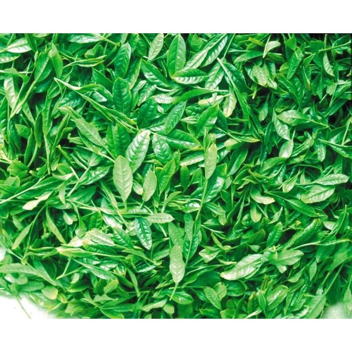 Uji Matcha Green Tea Powder 400g - Japanese Import