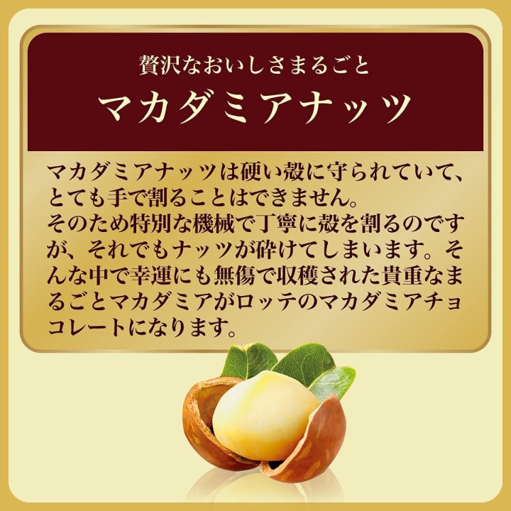 LOTTE - Macadamia-Nuss-Pralinen