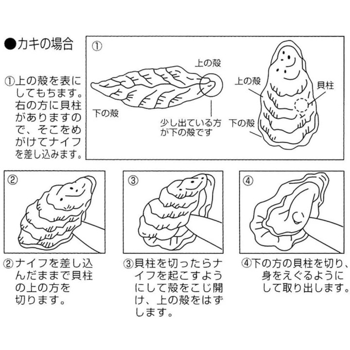 KAI GROUP - Oyster Knife | Cookingsan.com