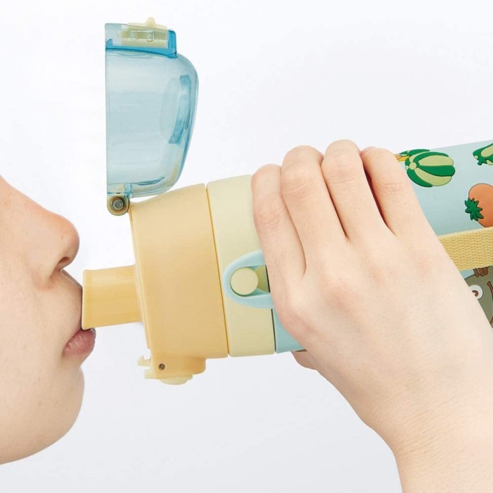 GHIBLI My Neighbor Totoro - 480ml Bottle | Cookingsan.com