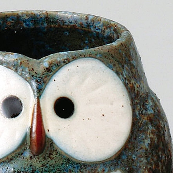 SOBOUGAMA Blue Owl Tea Glass | Cookingsan.com