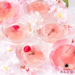 SOMIKAAN - Sakura Jellies x6