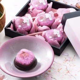 SOMIKAAN - Yokan & Sakura Jellies x5