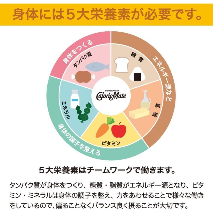 Otsuka - Calorie Mate Block Chocolate | Cookingsan.com