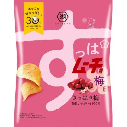 Koikeya - Suppamucho Chips Ume