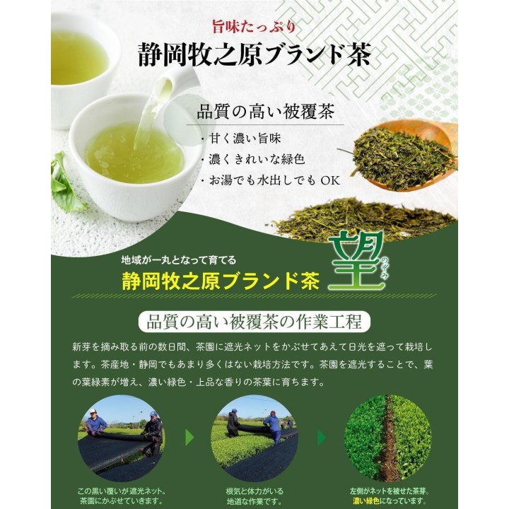 Set de Té Verde Japonés – Latas Maneki Neko – Sencha de Shizuoka