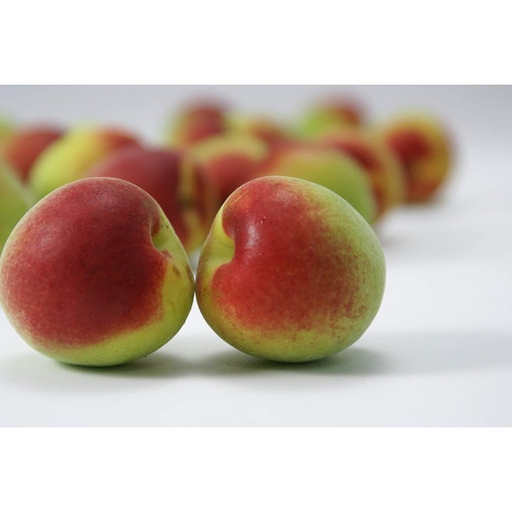 NAKANO BC - Umeshu or Yuzu 12% | Cookingsan.com