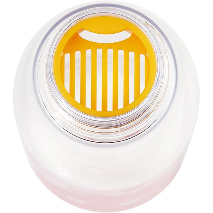 Bouteille d'eau Calcifer 500 ml avec infuseur à thé – Le Château ambulant – Skater – Importée du Japon