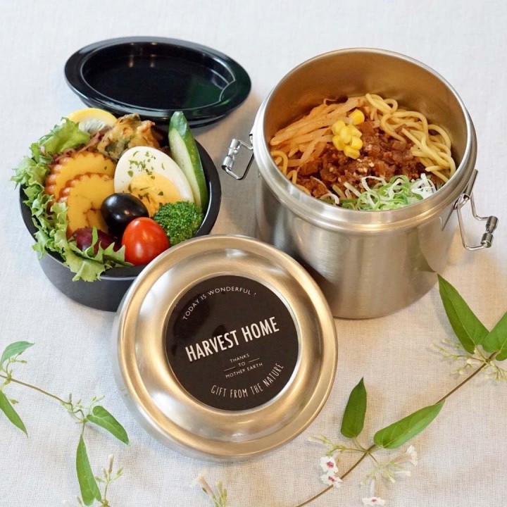 Totoro Insulated Lunch Jar 600ml Donburi Skater Japan Import