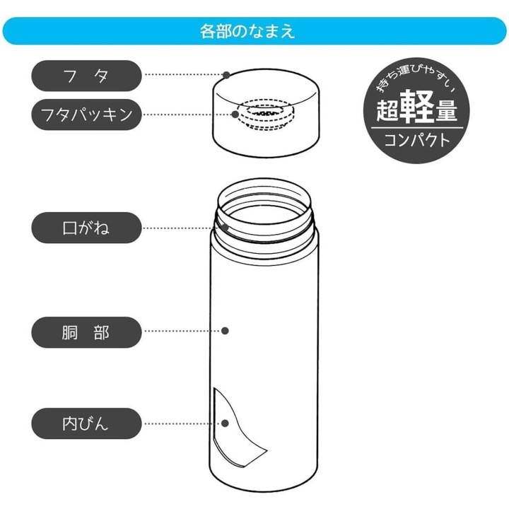 Skater Totoro Edelstahlflasche 300 ml STYL3-A Import aus Japan