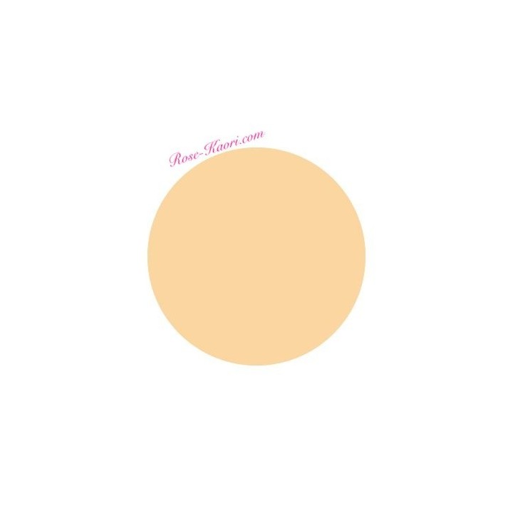 CANMAKE TOKYO - Marshmallow Finish Powder MB