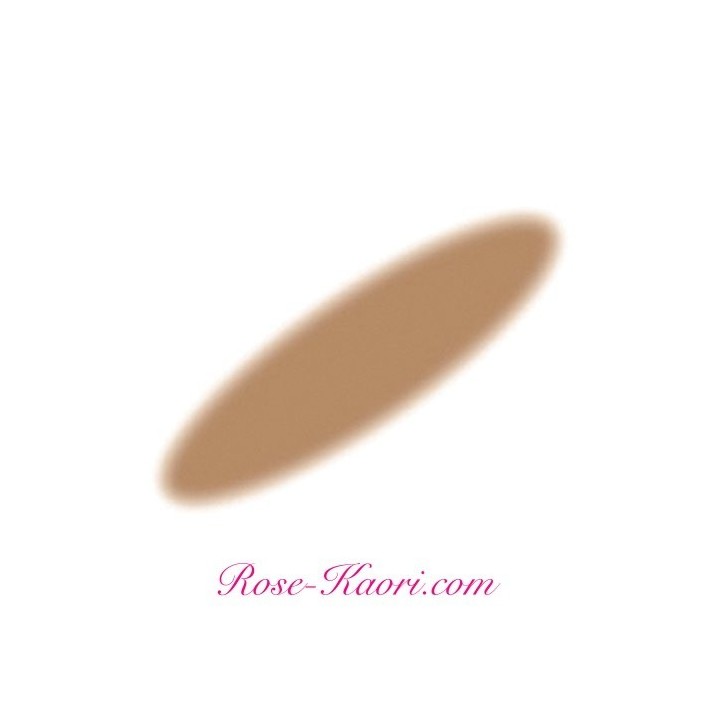 SHISEIDO - Majolica Majorca - Brow Customize Powder