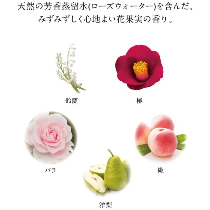 copy of