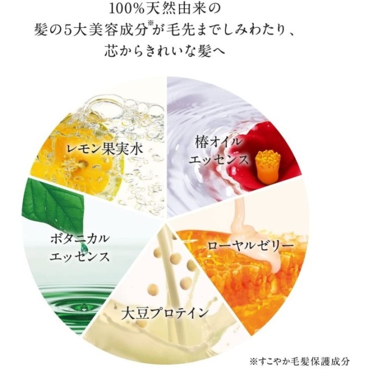 copy of
