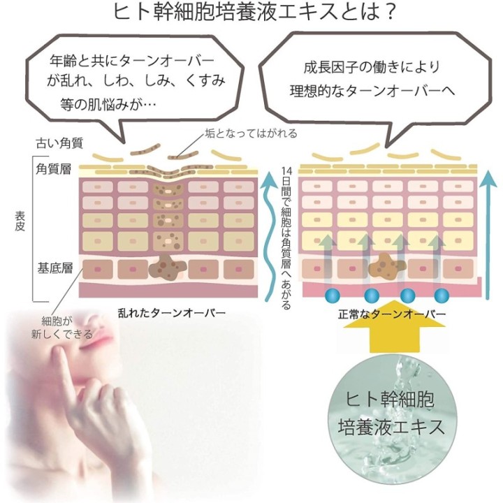 CELL METHOD - Crème Enrichissante Réparatrice