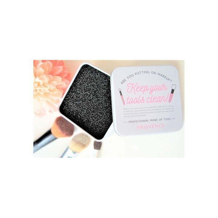 Nettoyeur de pinceau sec