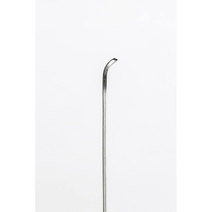 Earpick Traditional Ears Cleaner Titanium