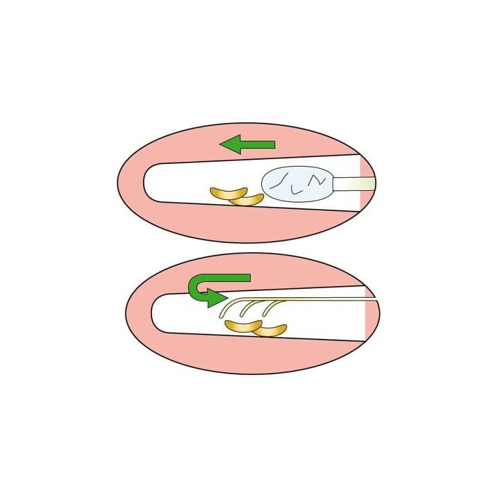 Earpick Ears Cleaner Nonoji Regular