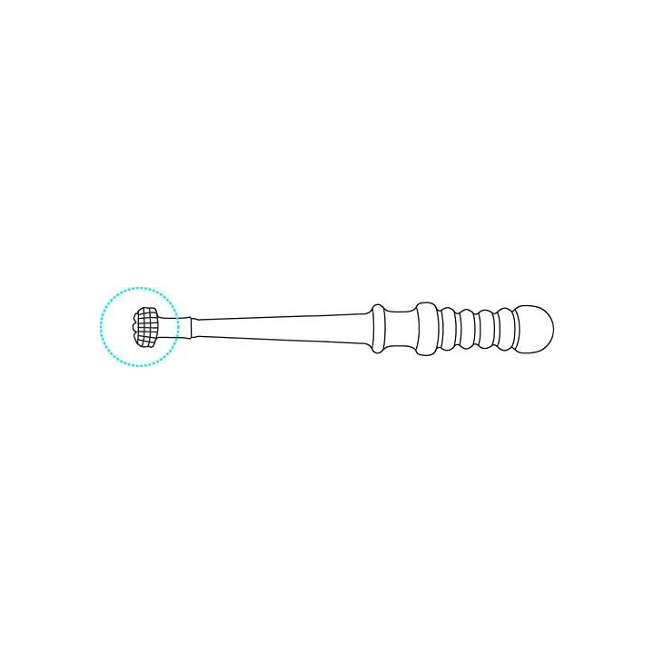 Earpick Ears Cleaner Mimi Gokochi Blue Pure